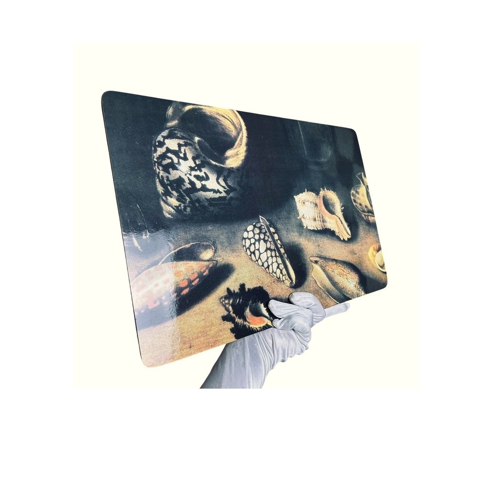 Jacques Linard Sea Shell Placemats Cork Backed Art Reproduction Set